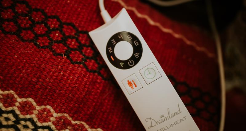 Electric blanket for a double bed