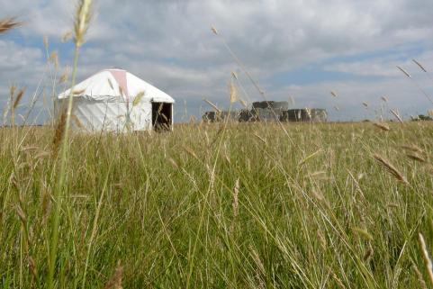 18ft yurt in a meddow